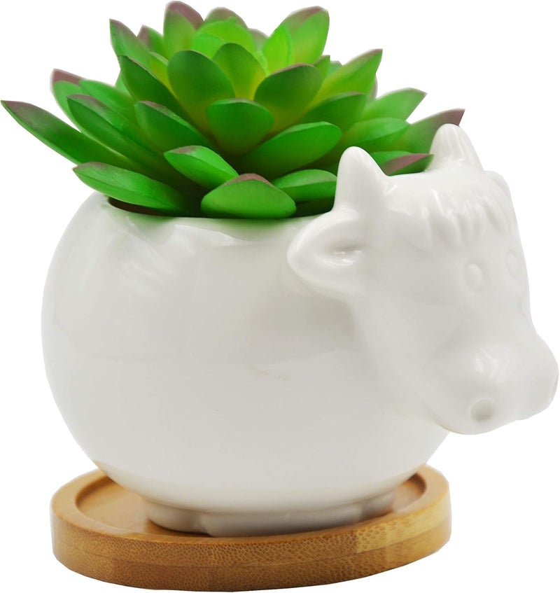 Cuteforyou Succulent Pots,Cute Cartoon Cow Shaped Ceramic Succulent Cactus Flower Pot,Pencil Holders,Desk Accessories, Makeup Brush Storage Stand-Plant Not Included (with Tray) - Image 2