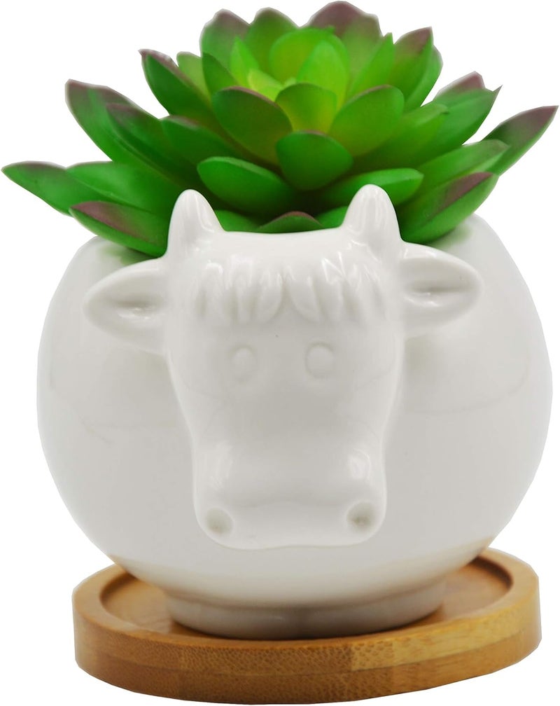 Cuteforyou Succulent Pots,Cute Cartoon Cow Shaped Ceramic Succulent Cactus Flower Pot,Pencil Holders,Desk Accessories, Makeup Brush Storage Stand-Plant Not Included (with Tray) - Image 1
