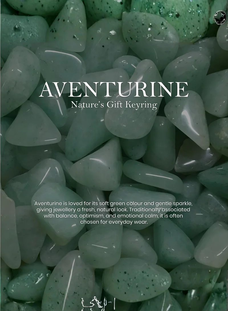 British Fossils ميدالية مفاتيح هدية الطبيعة بالأفينتورين