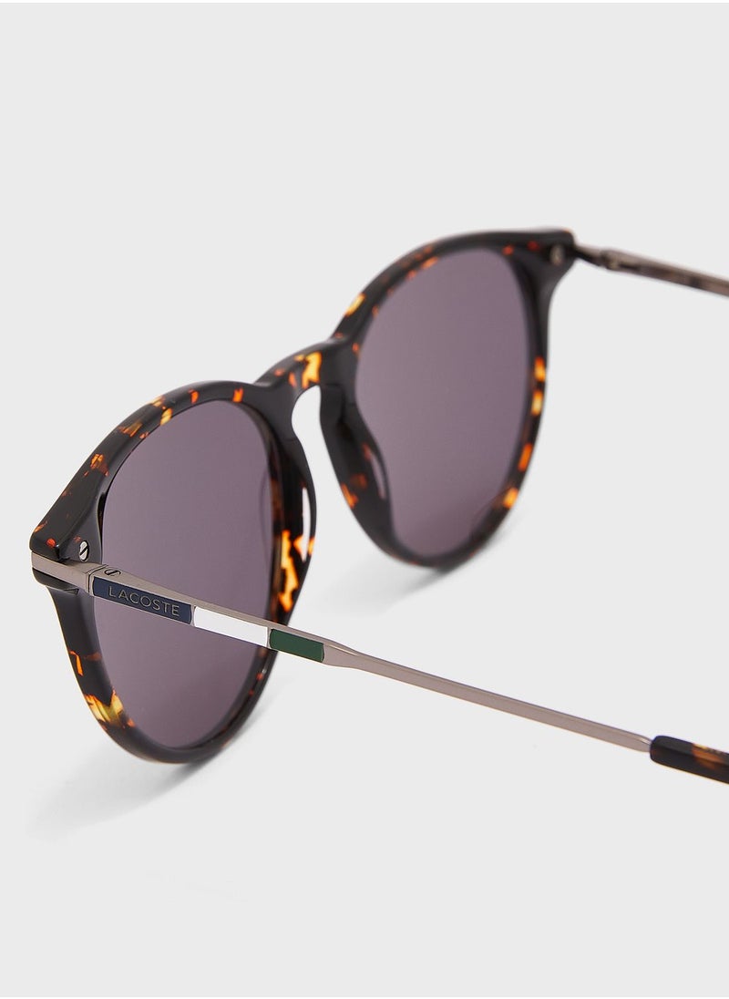 Aviator Sunglasses