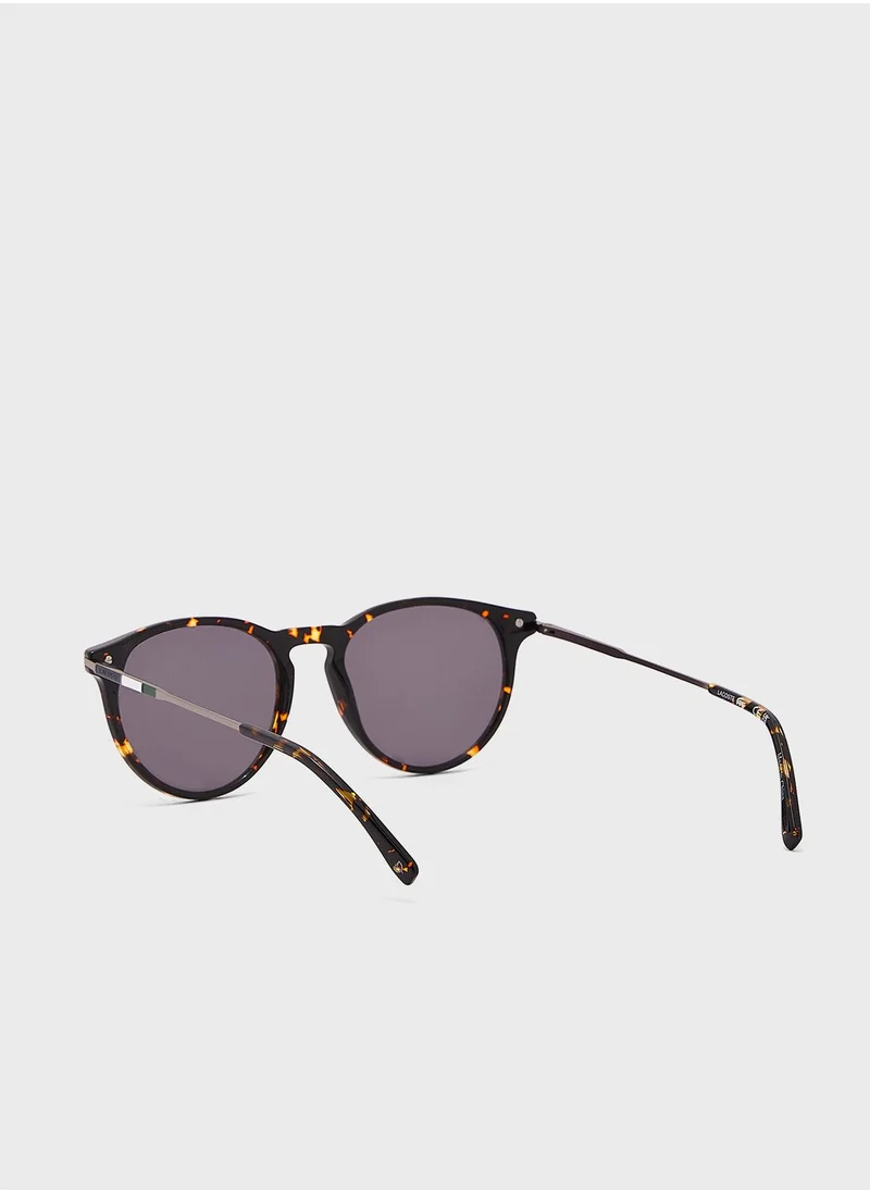 LACOSTE Aviator Sunglasses
