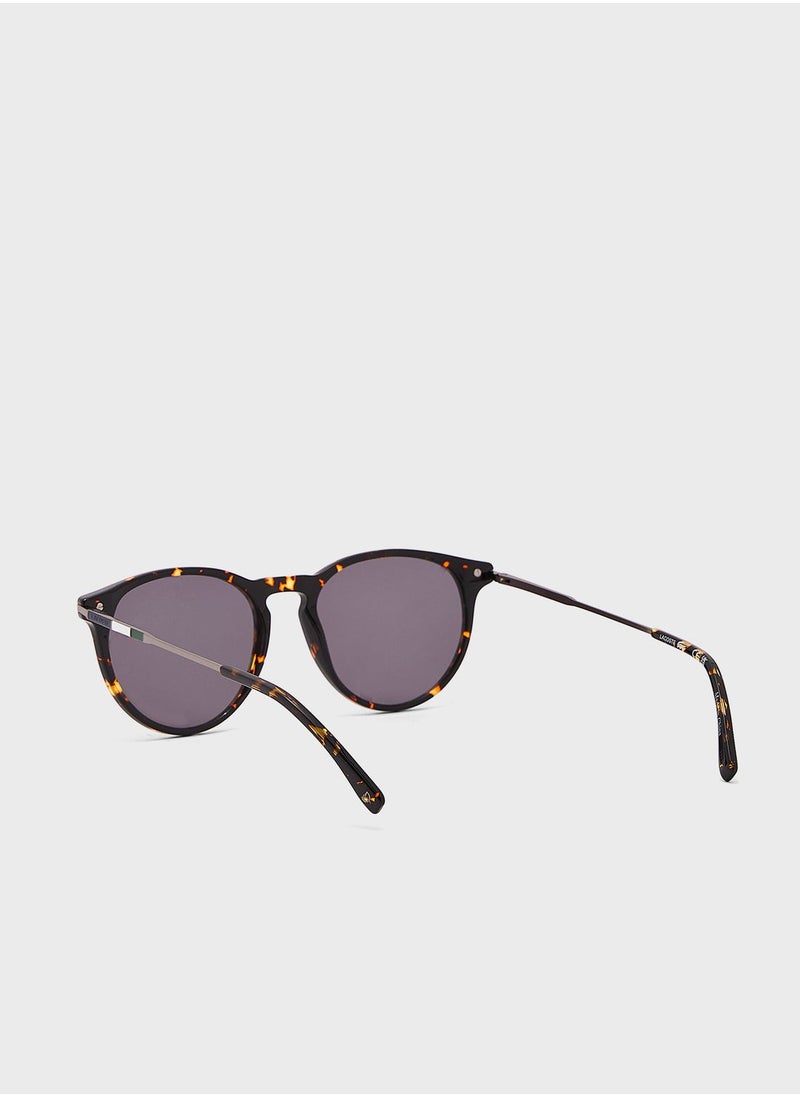 Aviator Sunglasses