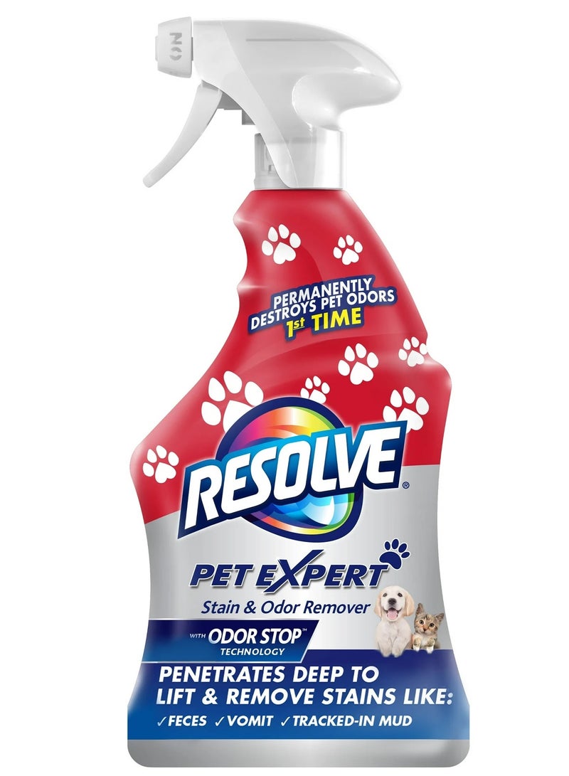 ريسولف بخاخ مزيل بقع الحيوانات الأليفة والروائح الكريهة على السجاد، 22 أونصة - Image 1