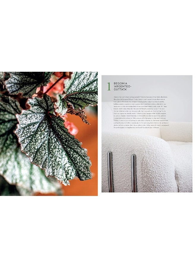 null - Living Wild: How to Plant Style Your Home and Cultivate Happiness - Image 1
