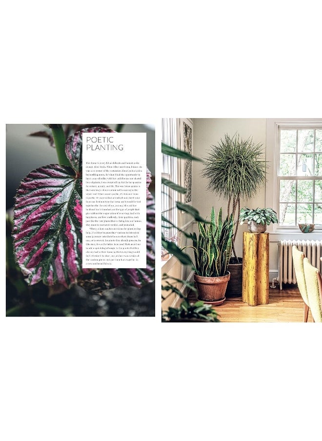 null - Living Wild: How to Plant Style Your Home and Cultivate Happiness - Image 1