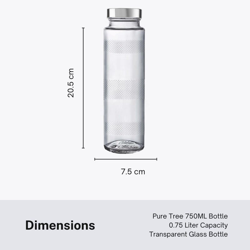 bizwiz bizwiz Glass Water Bottle with LeakProof Airtight Stainless Steel Lid for Water Smoothie Juices Reusable Travel Glass Drinking Fridge Bottles 750ml 1 - Image 3