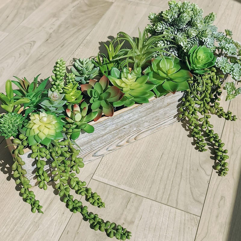 Winlyn Winlyn 19 Pcs Assorted Artificial Succulents Plants Unpotted Small Green Aloe Hops Cactus String of Pearls Picks Fake Succulents Bulk for Succulent Garden Floral Arrangement Indoor Outdoor Home Decor  - Image 3