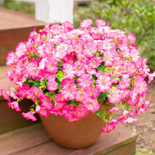 Ivydale Artificial Flowers Fake Plants for Outdoors Decoration 12 Bundles Pink Silk Morning Glory with Eucalyptus Realistic UV Resistant Faux Flowers Greenery for Outside Planter Yard Garden Home Indoor Urn - Image 3