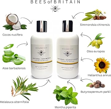 BEES of BRITAIN 99 Natural Shampoo for Oily Hair Tea Tree Mint No SulfatesParabens pH 55 Sensitive Skin We Donate 5 of our Profit to Save Bees Pollinators 250ml - Image 2