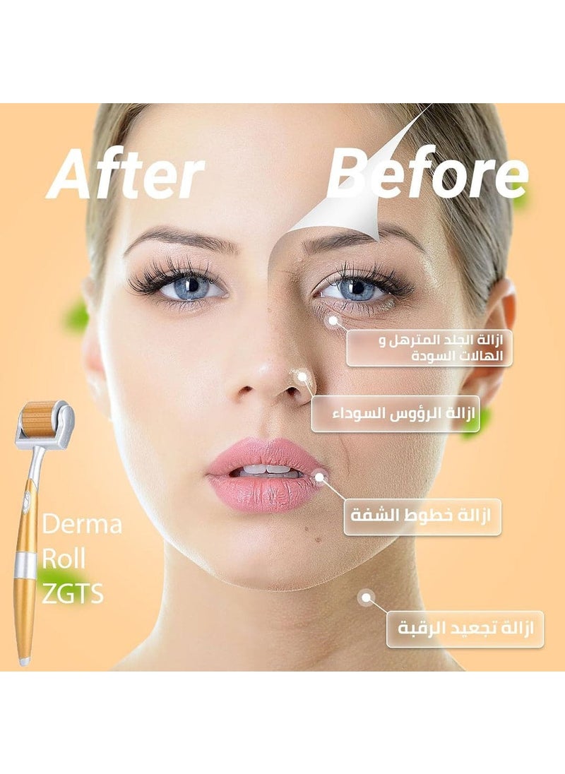 ZGTS - ZGTS Micro Needle Derma Roller 1.00mm - Image 1