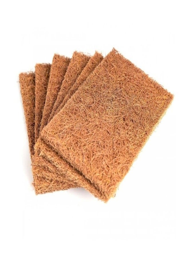 ONEarth Coconut Coir Utensil Scrubbers - Square Shape [Pack of 10] | Natural Kitchen Scrub Pads for Dishwashing & Cleaning | Reusable & Biodegradable | Non-Scratch - Image 1