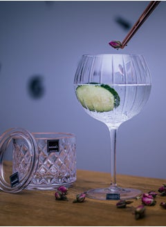 Rogaska 2-Piece Balloon Avenue Gin Set  - Image 3