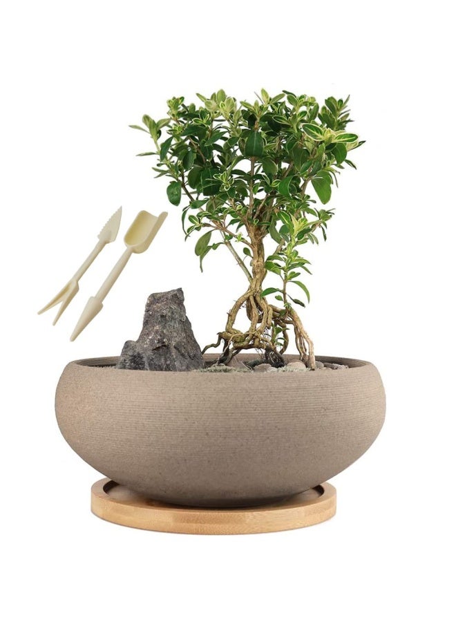 MUZHI Round Unglazed Ceramic Bonsai Pot with Bamboo Tray, Large Rough Pottery Succulent Planter with Drainage Hole 8 inch â€¦ - Image 1