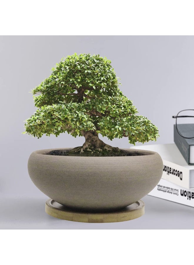MUZHI Round Unglazed Ceramic Bonsai Pot with Bamboo Tray, Large Rough Pottery Succulent Planter with Drainage Hole 8 inch â€¦ - Image 5