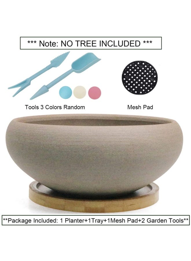 MUZHI Round Unglazed Ceramic Bonsai Pot with Bamboo Tray, Large Rough Pottery Succulent Planter with Drainage Hole 8 inch â€¦ - Image 4