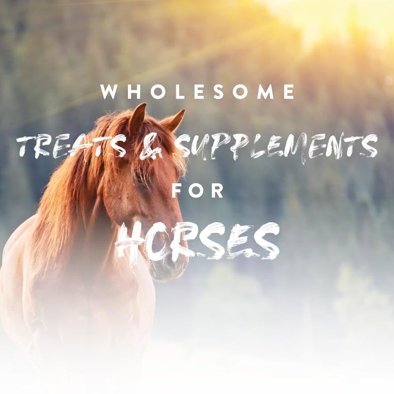 Manna Pro NutriGood Senior Snax Horse Treats - Apple Flavor Baked Easy-Chew Equine Snack with Glucosamine, Omega-3 & Biotin for Joint, Hoof & Coat Support (Senior Horses) - 2 lb Bag - Image 4