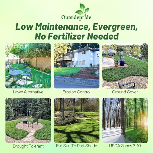 Outsidepride Perennial White MiniClover Seed - 1 lb. Dwarf, Small-Leaved, Drought & Wear-Tolerant Micro Clover Seeds for Lawn, Ideal Low-Maintenance & Easy to Grow Ground Cover Seeds for Home Yard - Image 2
