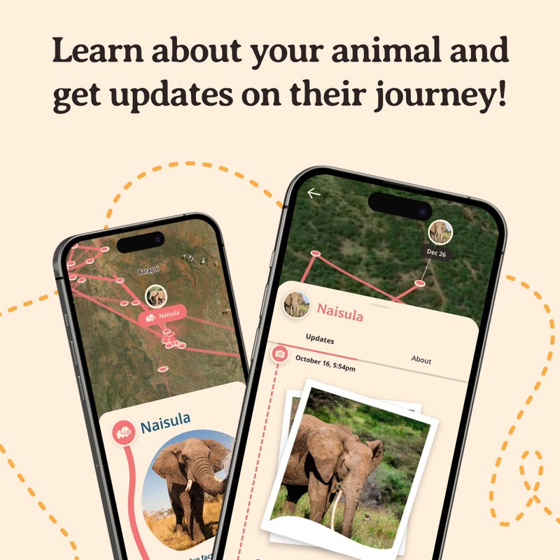 Fahlo Elephant Tracking Bracelet â€“ Track a Real Elephantâ€™s Journey â€“ Supports Save the Elephants â€“ Elastic, One Size Fits Most â€“ on Interactive Mobile App Map â€“ Unisex Conservation Gift (Desert Stone) - Image 5