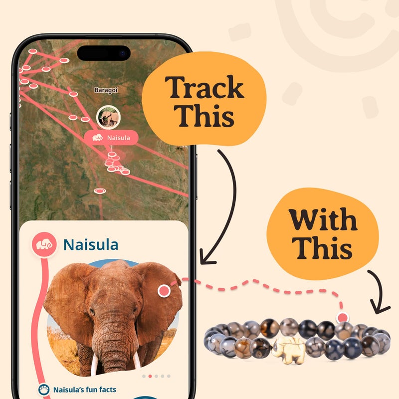 Fahlo Elephant Tracking Bracelet â€“ Track a Real Elephantâ€™s Journey â€“ Supports Save the Elephants â€“ Elastic, One Size Fits Most â€“ on Interactive Mobile App Map â€“ Unisex Conservation Gift (Desert Stone) - Image 4