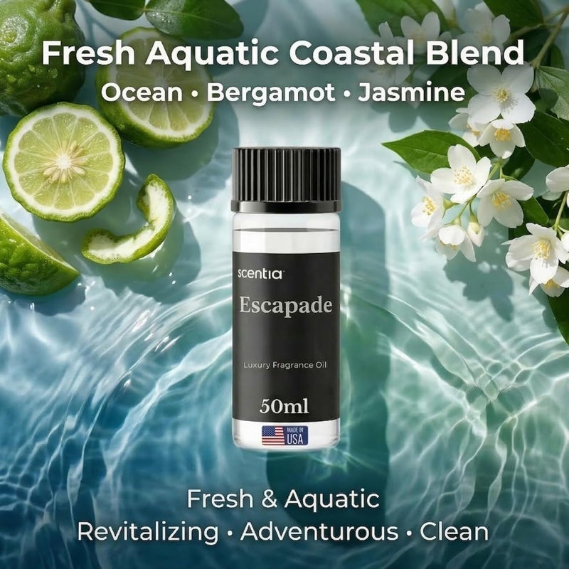 SCENTIA زيت عطر سينشيا إسكابيد | زيت معطر فندقي لغرفة المعيشة، المنزل | مزيج أساسي للعلاج العطري | نفحات من البرغموت، الليمون، الياسمين مع العنبر والمسك البحري | 50 مل | 0.67 أونصة سائلة - Image 2