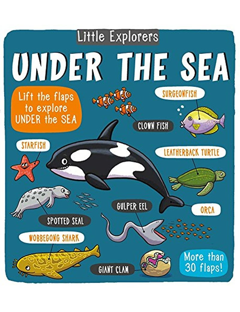 Little Explorers Under The Sea