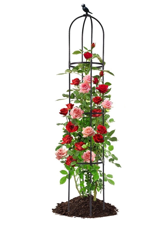 أوبتيا تعريشة حديقة للنباتات المتسلقة في الهواء الطلق، تعريشة نباتات معدنية مغلفة بـ PE، دعامة نباتات مقاومة للصدأ للزهور، كرمة نباتات نباتية، قفص طماطم للنباتات المحفوظة في أصص في الأماكن المغلقة في الهواء الطلق، أسود خفيف الوزن - Image 1