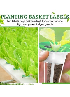 CMGTYYD 97 Pcs Hydroponic Garden Accessories Pod Kit With 24 Grow Baskets 24 Lids 24 Sponges 24 Labels and 1 Dispenser Hydroponic Growing Kit Hydroponic Plant Germination Kits for Seed Starting System  - Image 3
