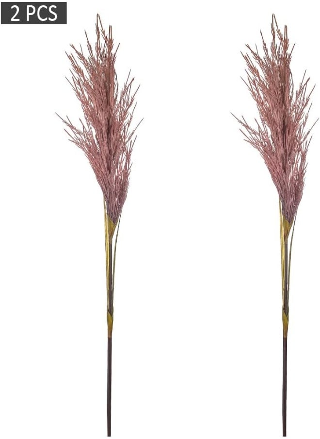 2-Piece Pampas Grass - Tall Large Dried Pampas for Flower Arrangements Wedding Home Decor, Red - pzsku/Z9FFBEF084D4EF9B2A755Z/45/_/1716204447/6772bb87-acb7-4e13-8b9a-62f90b3b25dc