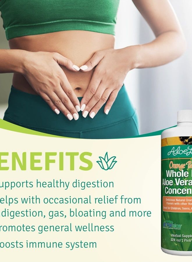 Aloe Life Whole Leaf Aloe Vera Juice Concentrate, Soothing Relief for Indigestion, Antioxidant Catalyst, Supports Energy & Wellness, Certified Organic Aloe Leaves, Gluten-Free (Orange Papaya, 32 oz)  - Image 4