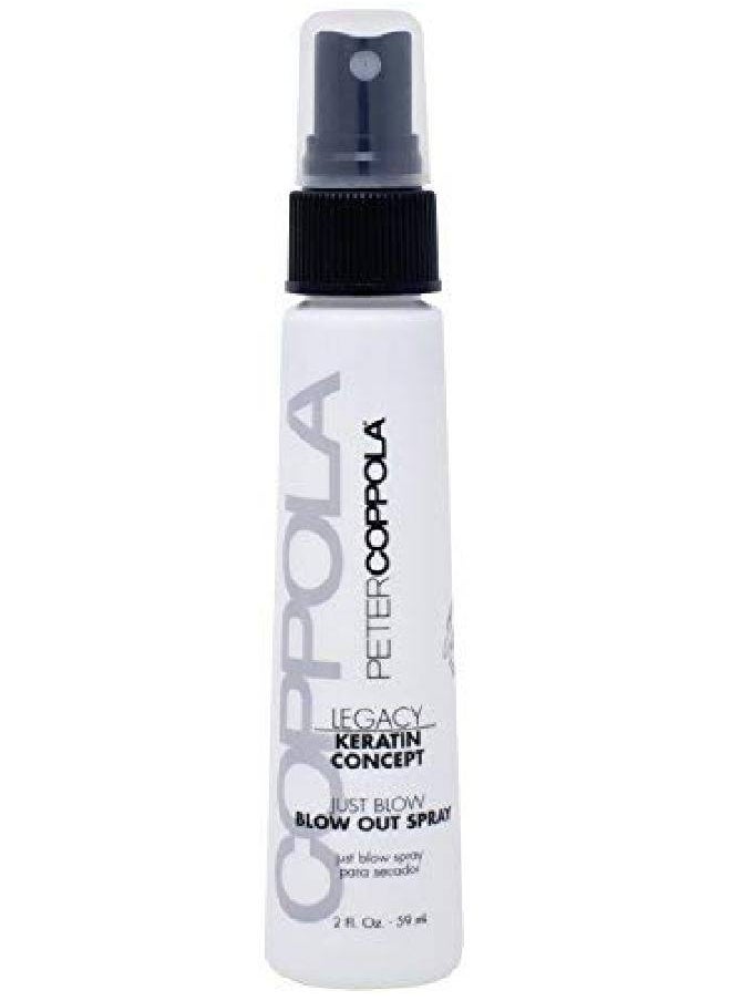 Peter Coppola Keratin Concept Just Blow Blow Dry Spray Heat Protectant Spray For Hair Reduces Blow Dry Time Smoothes And Straightens All Hair Types Conditions And Adds Shine Travel Size 2 Oz  - Image 2