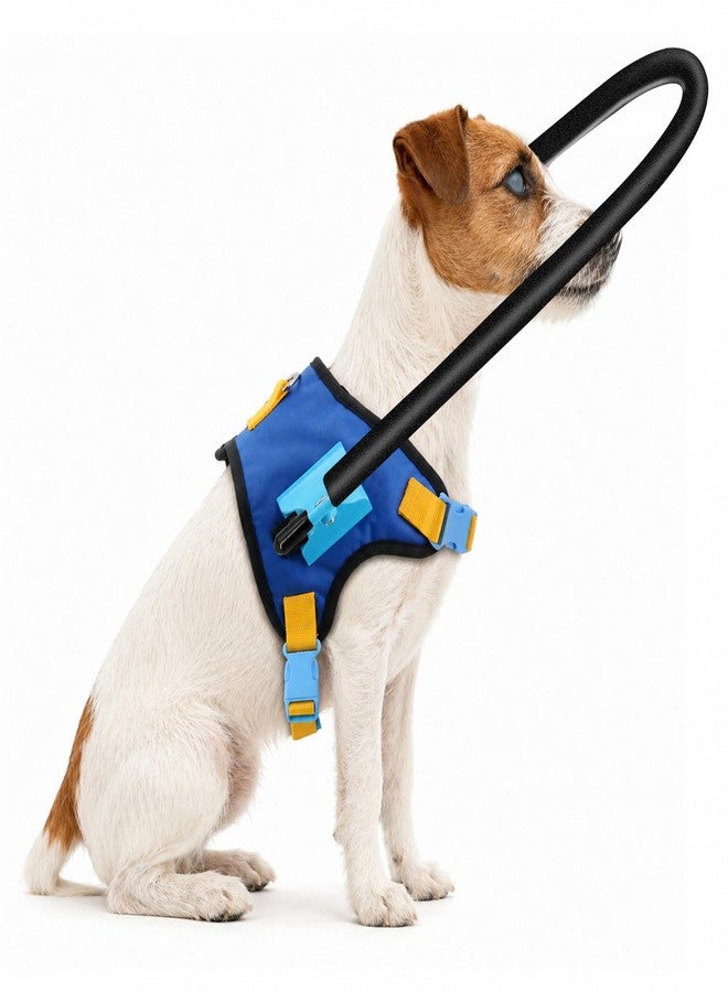 LetPetRun Adjustable Blind Dog Halo Collar, Protective Navigation Aid with Protective Ring Collar for Visually Impaired Dogs (XS fits 16.80"-20.90") - Image 1