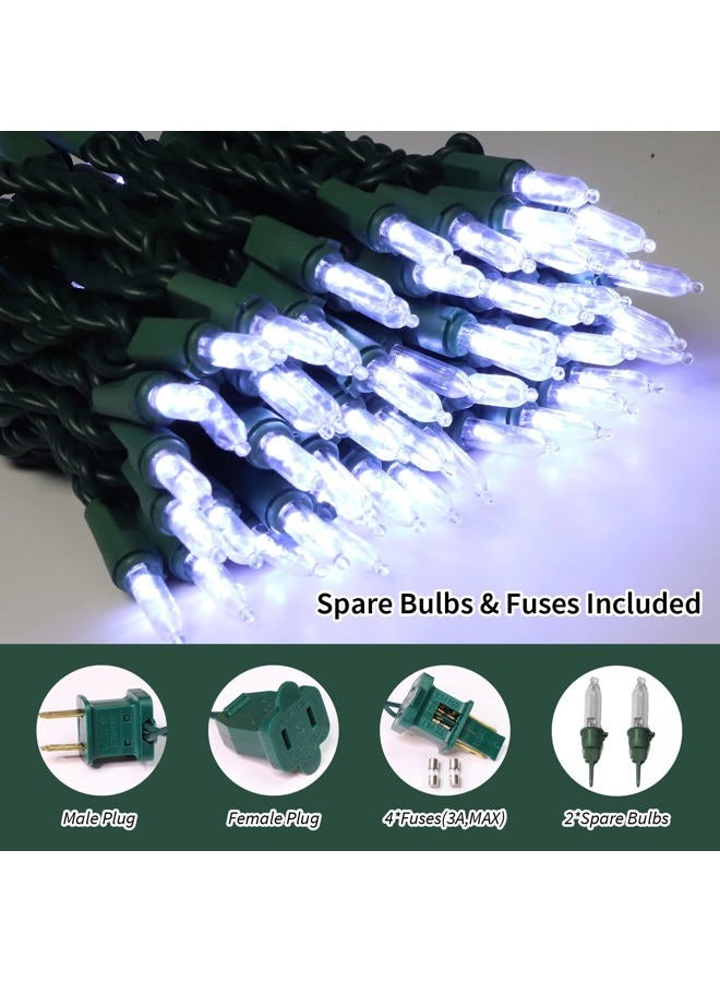 LAMPHOME 100 ضوء LED مصغر، سلك أخضر، طول 6.6م (21.6 قدم)، أبيض بارد - Image 2