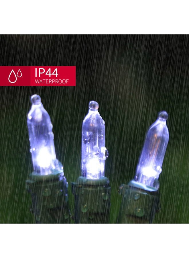 LAMPHOME 100 ضوء LED مصغر، سلك أخضر، طول 6.6م (21.6 قدم)، أبيض بارد - Image 4