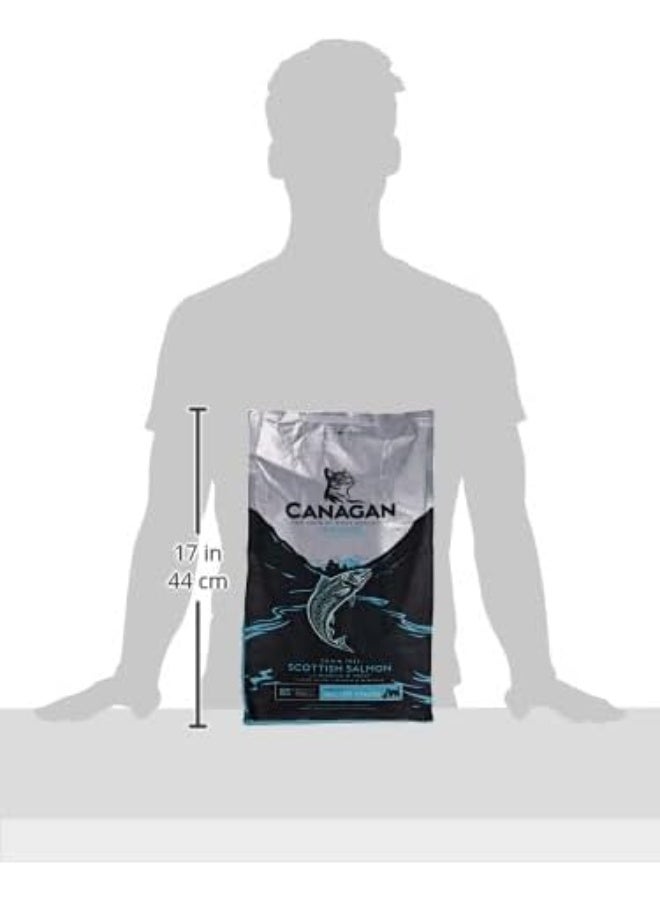 Canagan طعام جاف للقطط من كاناجان سمك السلمون الاسكتلندي 4 كجم - Image 3