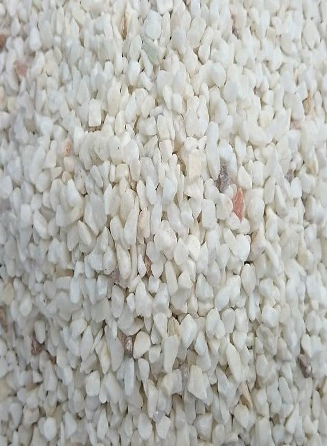 حجر ميتو الأبيض (1 كجم) (حجم وشكل غير منتظم) لأحواض السمك/أحواض الأسماك، والحدائق. - Image 1