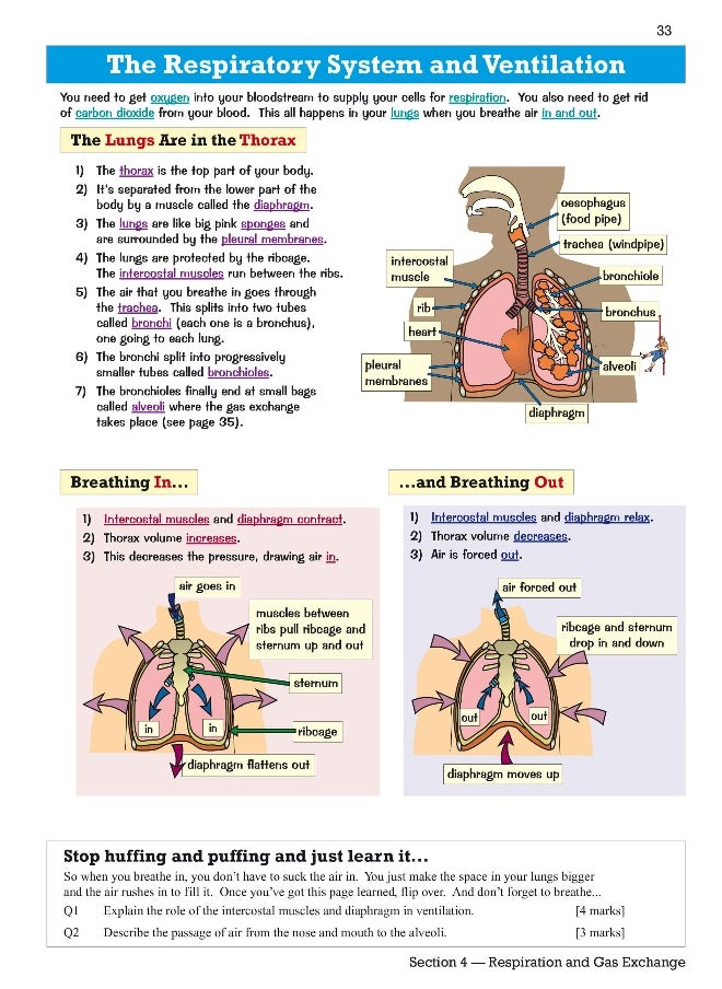 null - Edexcel International GCSE Biology Revision Guide: Including Online Edition, Videos and Quizzes - Image 1