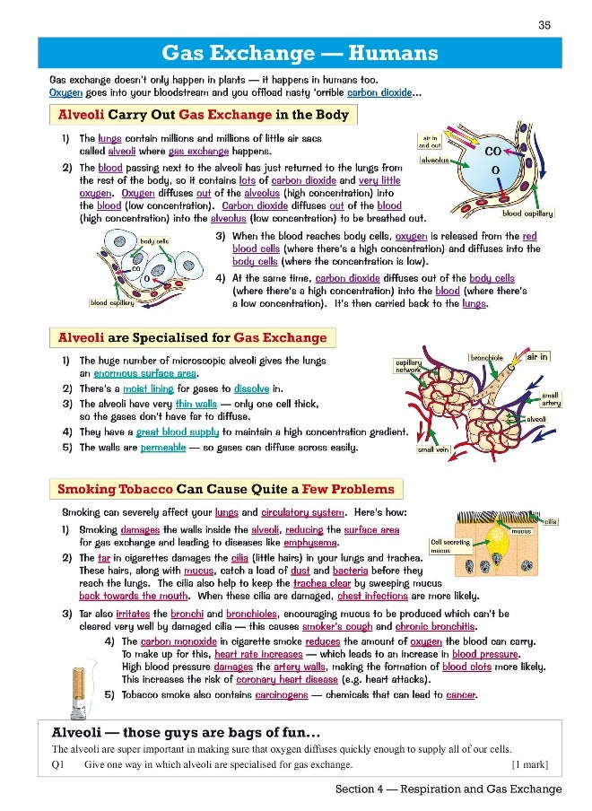 null - Edexcel International GCSE Biology Revision Guide: Including Online Edition, Videos and Quizzes - Image 1