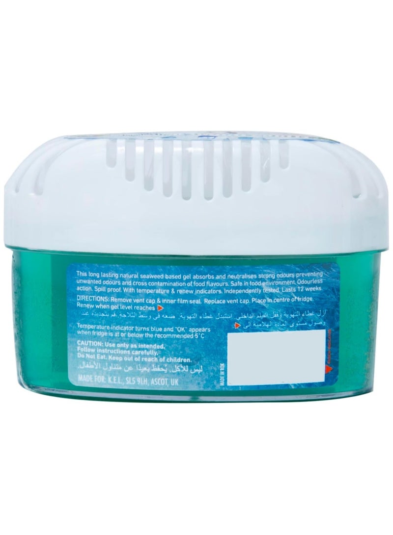 BIG D Fridge Odour Absorber 200 G - Image 2