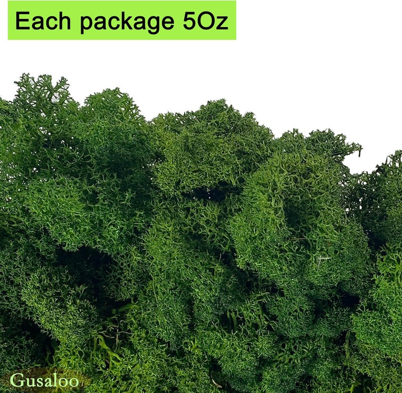 Gusaloo Preserved 5oz Moss Artificial Moss Natural Fresh Green Moss for Craft Handicraft Arts Floral Project Wall Decor Table Decor Wedding Centerpieces Garden Terrariums Decoration-Green - Image 5