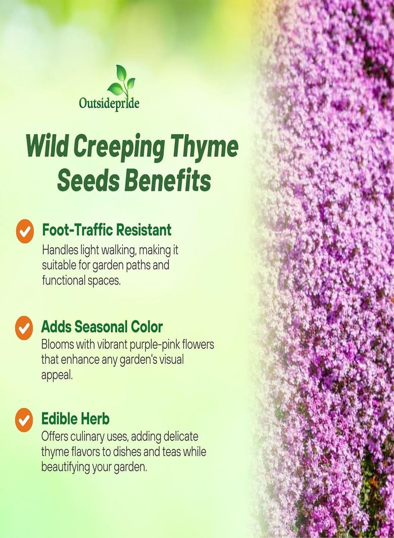 1/2 g. Perennial Wild Lemon Creeping Thyme Ground Cover Seeds for Planting