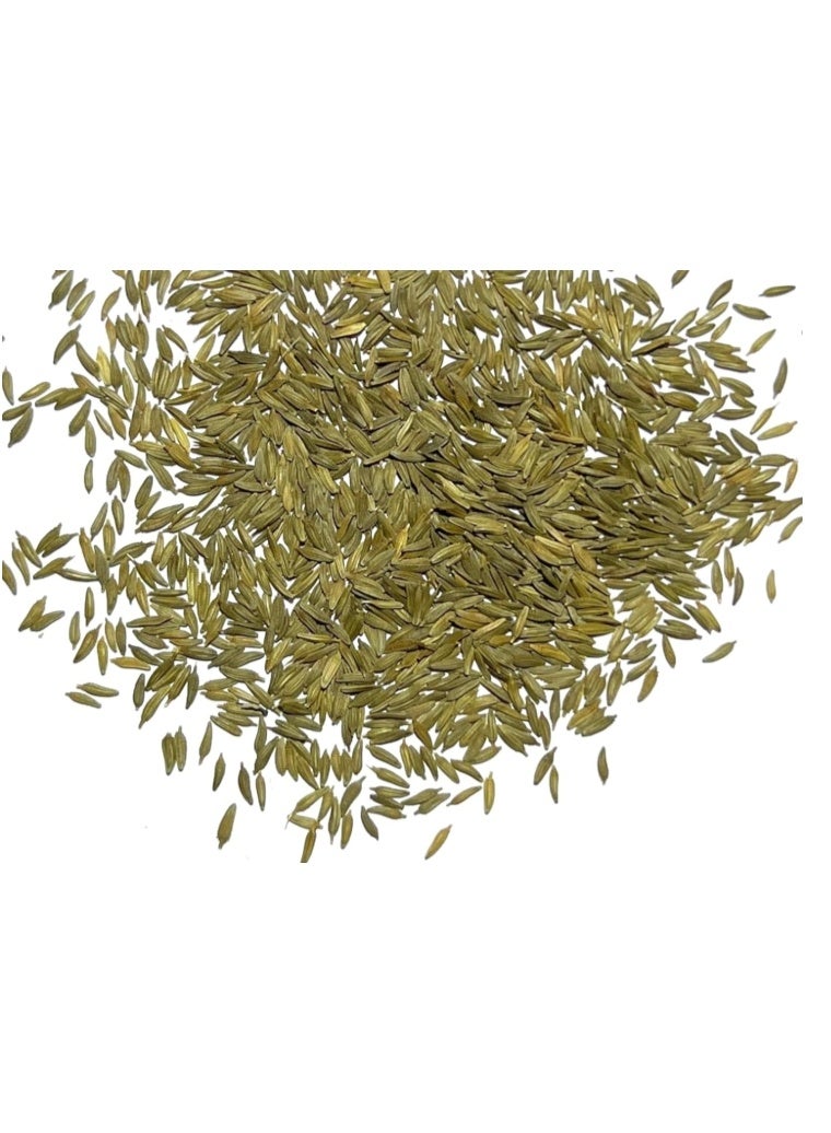 1200PCS Dandelion Seeds For Home Garden Planting - Image 5