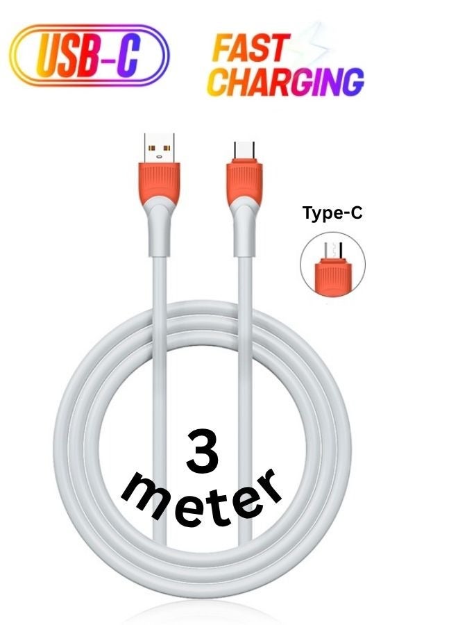 LDNIO 30W Fast Charging USB-C Cable – Heavy Duty 3A Quick Charge Data Cable with 480Mbps Transfer Speed – Type-C Compatible – TPE Braided Durable Wire – For Android Phones, Power Banks, Tablets, Chargers – 3M Length  - Image 1