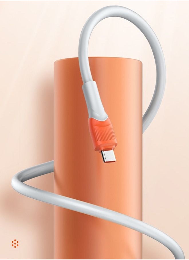 LDNIO كابل USB C A لكتابة سلك بيانات مجدول ممتاز متوافق مع أجهزة Samsung Galaxy وMacBook Pro وNintendo Switch وHuawei MateBook X Pro iPad Mini 3 متر  - Image 5
