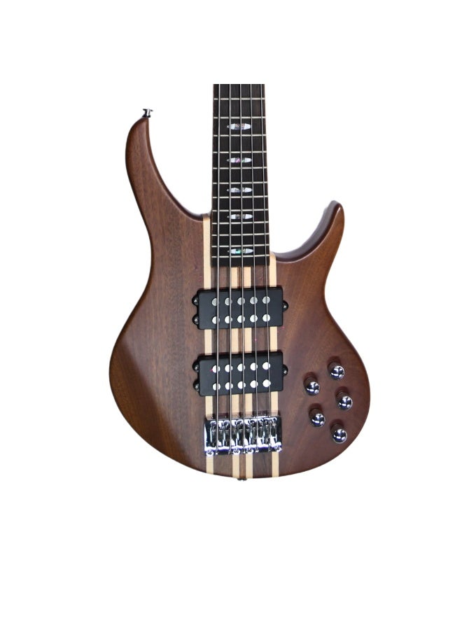 Steiner Electric Bass Guitar ST-EB50-T5 5-String with Neck-Through Construction and Active EQ – Natural Finish - Image 3