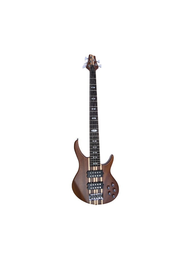 Steiner Electric Bass Guitar ST-EB50-T5 5-String with Neck-Through Construction and Active EQ – Natural Finish - Image 1