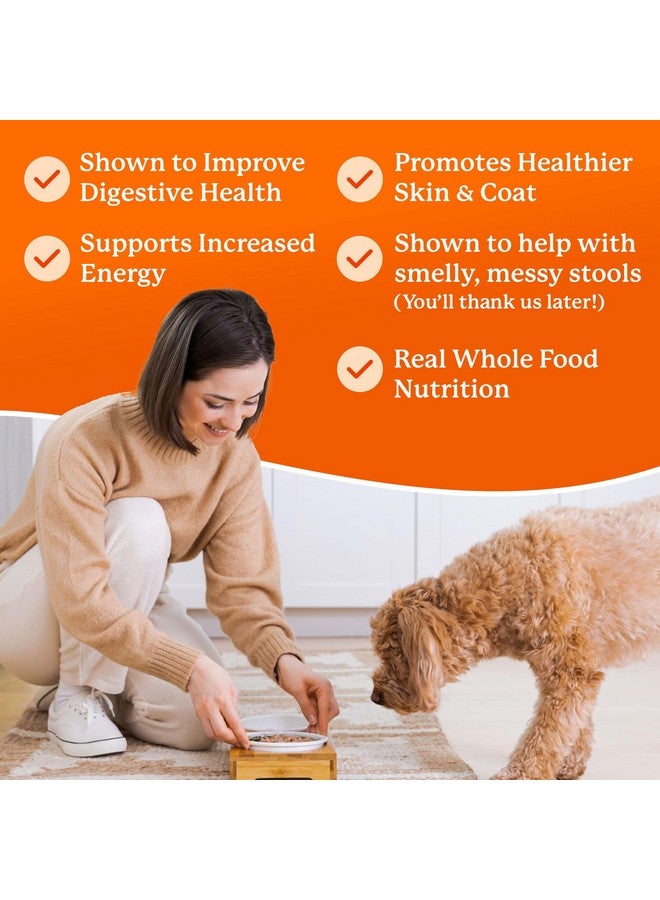 دي آر. هارفي طعام كلاب دكتور هارفي النباتي المطحون الناعم، مزيج أساسي مجفف مناسب للبشر، خالي من الحبوب، مناسب للكلاب الصغيرة، حجم تجريبي (6.5 أونصة) - Image 4