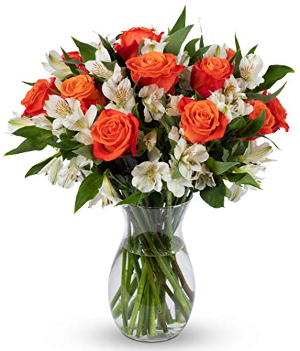 Benchmark Bouquets - Orange Roses & Alstroemeria (Glass Vase Included) - Fresh Flowers for Delivery - Gift for Birthday, Anniversary, Sympathy, Get Well, Congratulations, Easter - Image 1