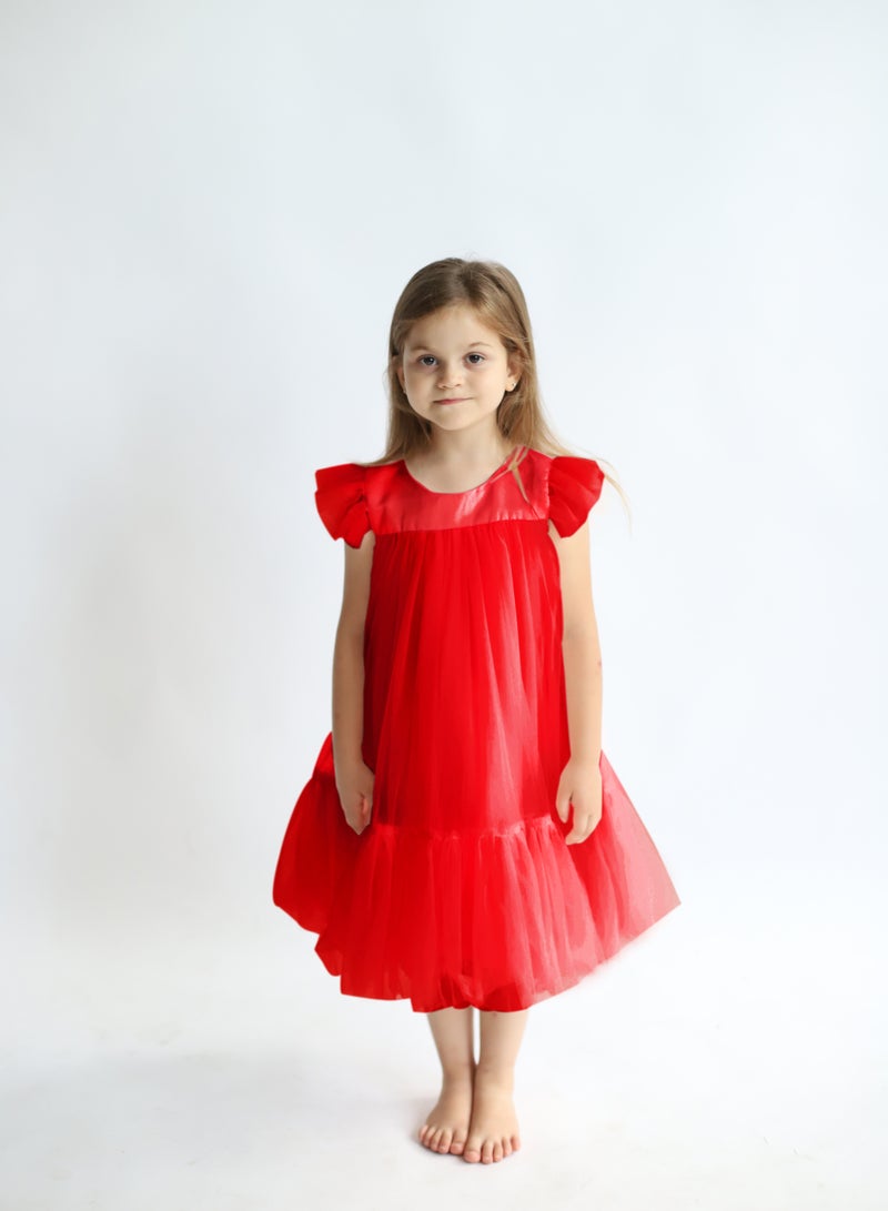 D'Daniela Ruffled Sleeve Dress - Image 1