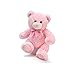 Burton Burton Plush Pink Bear 16 inches - Image 2