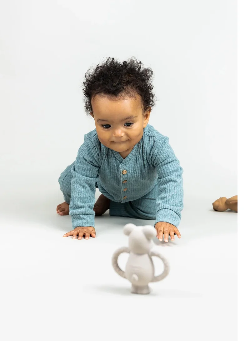 Pippeta Pipetta Albert Bear Blue Natural Rubber Teether 100% Natural Rubber For Soothing Babies/Infants Sore Gums Easy To Hold And Supports Sense Of Touch Development, From 0+ Months Blush